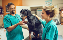 Veterinary_Clinic